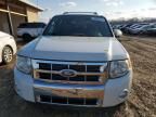 2010 Ford Escape Limited