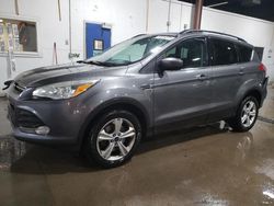 Salvage cars for sale from Copart Blaine, MN: 2014 Ford Escape SE