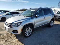 Carros salvage a la venta en subasta: 2009 Volkswagen Tiguan S