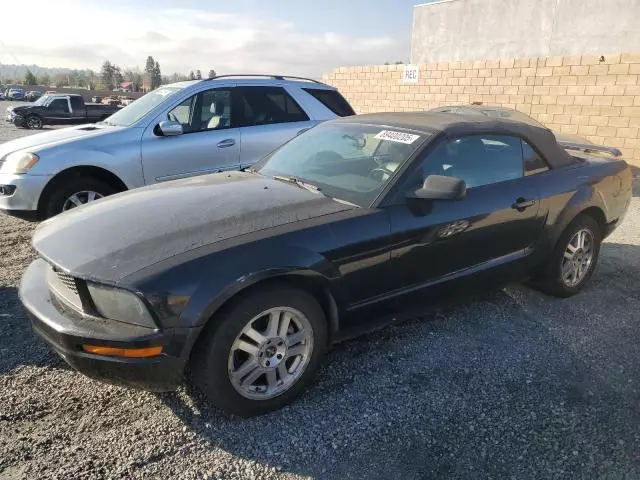 2005 Ford Mustang