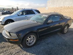 Vehiculos salvage en venta de Copart Mentone, CA: 2005 Ford Mustang