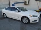 2013 Ford Fusion SE Hybrid