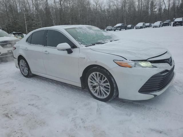 2019 Toyota Camry Hybrid