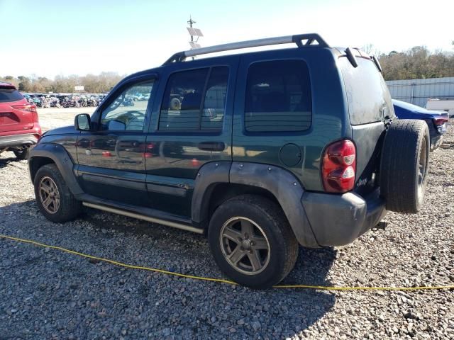 2005 Jeep Liberty Renegade