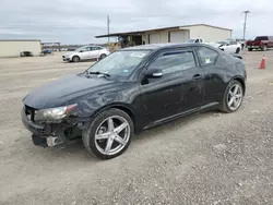 Salvage cars for sale at Temple, TX auction: 2012 Scion TC