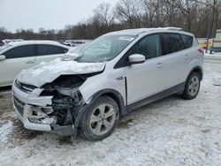 Ford salvage cars for sale: 2014 Ford Escape SE