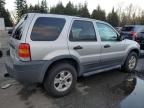 2005 Ford Escape XLT