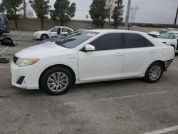 Toyota Camry salvage cars for sale: 2013 Toyota Camry Hybrid