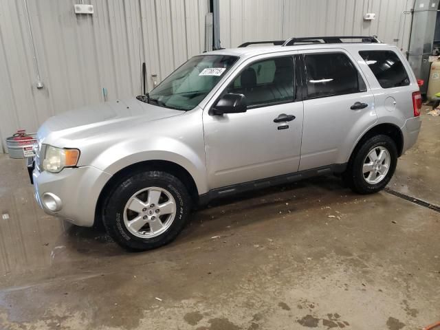 2011 Ford Escape XLT