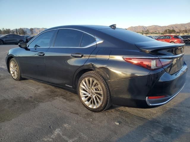 2019 Lexus ES 300H