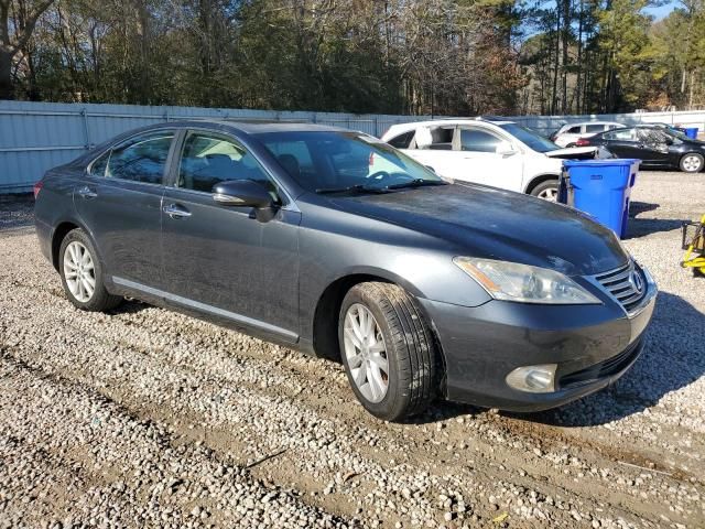 2010 Lexus ES 350