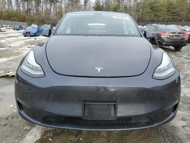 2020 Tesla Model Y