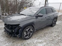 Salvage cars for sale at Cicero, IN auction: 2024 Hyundai Tucson SEL