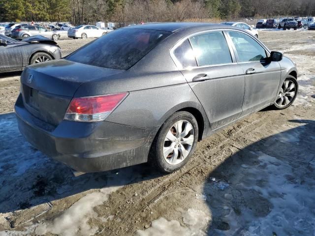 2010 Honda Accord LXP