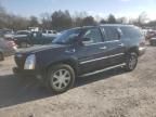 2008 Cadillac Escalade ESV