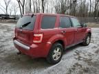 2011 Ford Escape XLS