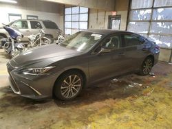 Salvage cars for sale at Indianapolis, IN auction: 2020 Lexus ES 300H