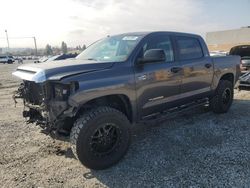 Salvage cars for sale at Mentone, CA auction: 2016 Toyota Tundra Crewmax SR5