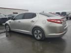 2012 KIA Optima Hybrid