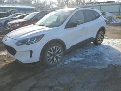 Salvage cars for sale at Wichita, KS auction: 2020 Ford Escape SE Sport