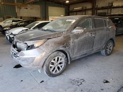 KIA Vehiculos salvage en venta: 2014 KIA Sportage Base