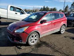 Ford Escape sel salvage cars for sale: 2013 Ford Escape SEL