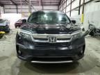 2019 Honda Pilot EXL