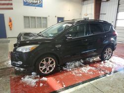 Salvage cars for sale at Angola, NY auction: 2013 Ford Escape SEL