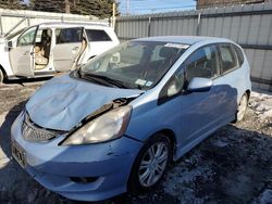 Salvage cars for sale at Albany, NY auction: 2010 Honda FIT Sport