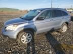 2009 Honda CR-V EXL