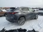 2023 Lexus NX 350H