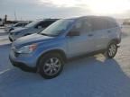 2009 Honda CR-V EX