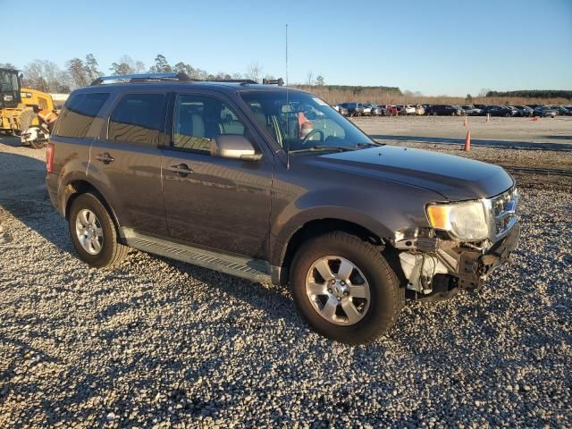 2011 Ford Escape Limited