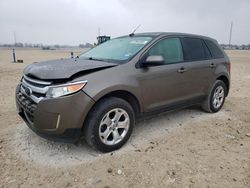 Salvage cars for sale at auction: 2013 Ford Edge SEL