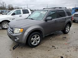 Ford Escape salvage cars for sale: 2011 Ford Escape XLT