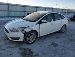 Ford Focus salvage cars for sale: 2017 Ford Focus SE