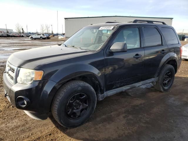 2011 Ford Escape XLT