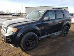 Lots with Bids for sale at auction: 2011 Ford Escape XLT