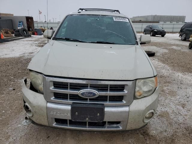 2009 Ford Escape Limited