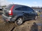 2010 Honda CR-V LX