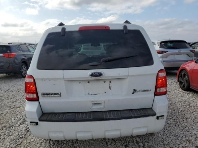 2011 Ford Escape Hybrid