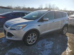 Salvage SUVs for sale at auction: 2013 Ford Escape SE