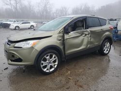 2013 Ford Escape SEL en venta en Ellwood City, PA