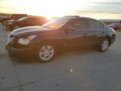 Nissan salvage cars for sale: 2010 Nissan Altima Hybrid