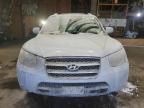 2007 Hyundai Santa FE SE