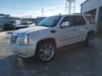 2007 Cadillac Escalade Luxury