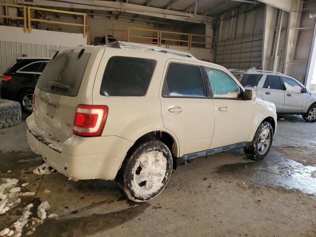 2011 Ford Escape Limited