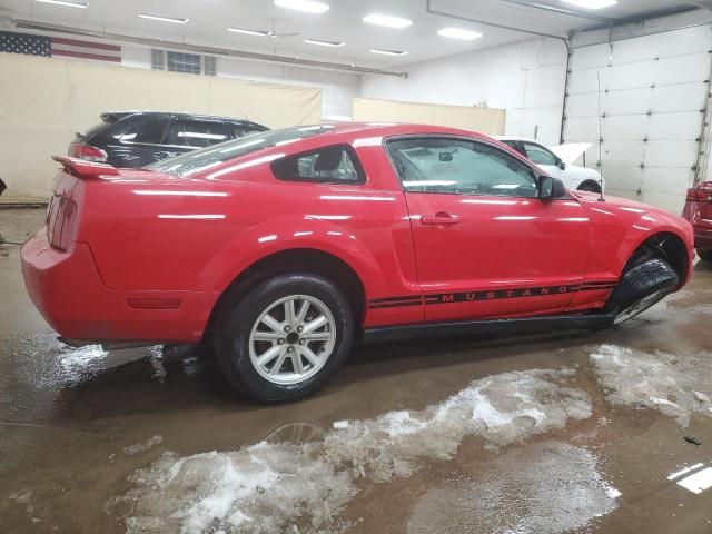 2005 Ford Mustang