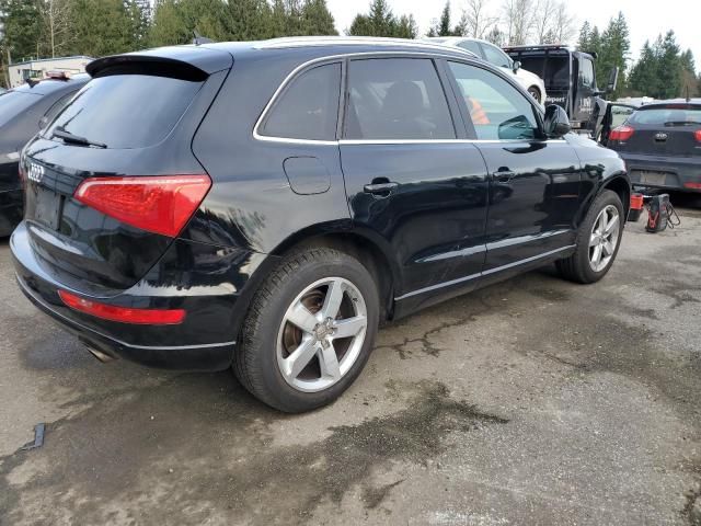 2010 Audi Q5 Premium Plus