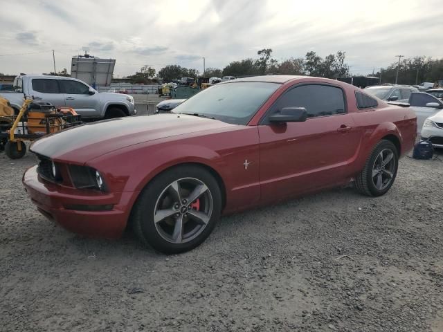 2007 Ford Mustang